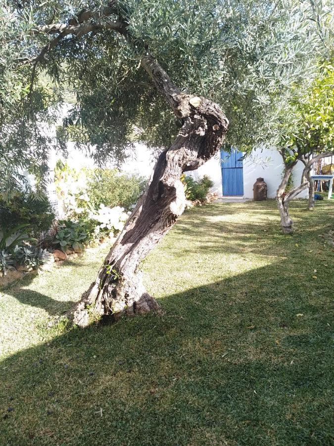 Villa Pitillas Algodonales Extérieur photo
